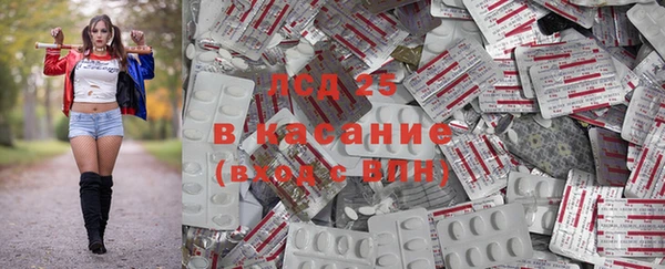 jwh Пересвет