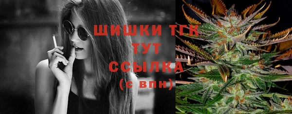 jwh Пересвет